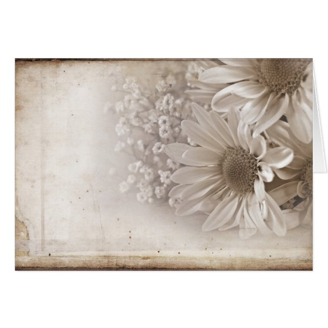 Ancien roman (Devant horizontal)