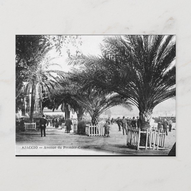 Ancienne carte postale - Ajaccio, Corse (Devant)