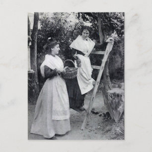 Ancienne carte postale - Arles, Les Arlésiennes