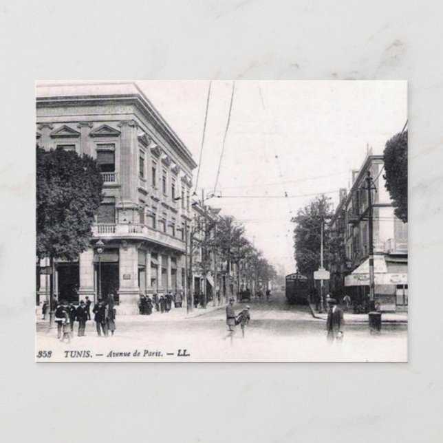 Ancienne carte postale - Avenue de Paris, Tunis (Devant)