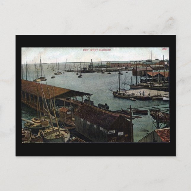 Ancienne carte postale - Floride, Key West Harbour (Devant)