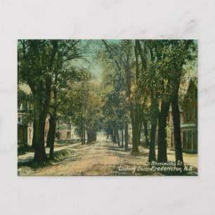 Ancienne carte postale - Fredericton (Nouveau-Brun