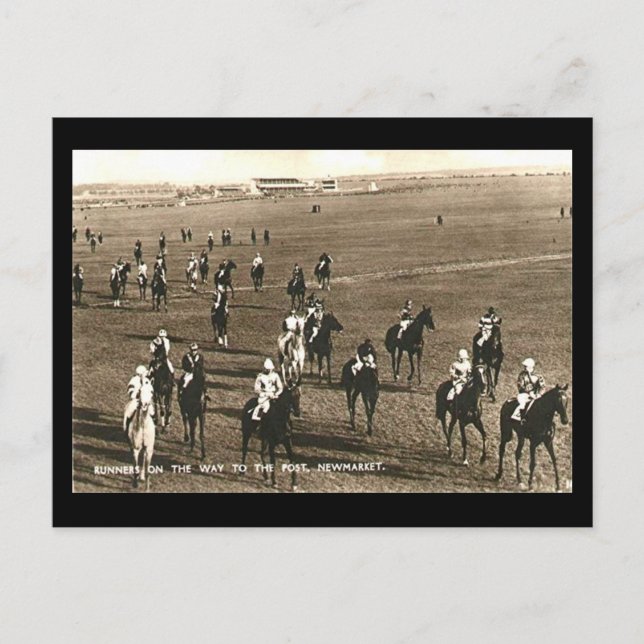 Ancienne carte postale - Hippocampe à Newmarket (Devant)