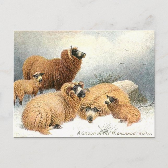 Ancienne carte postale - Hiver (Devant)