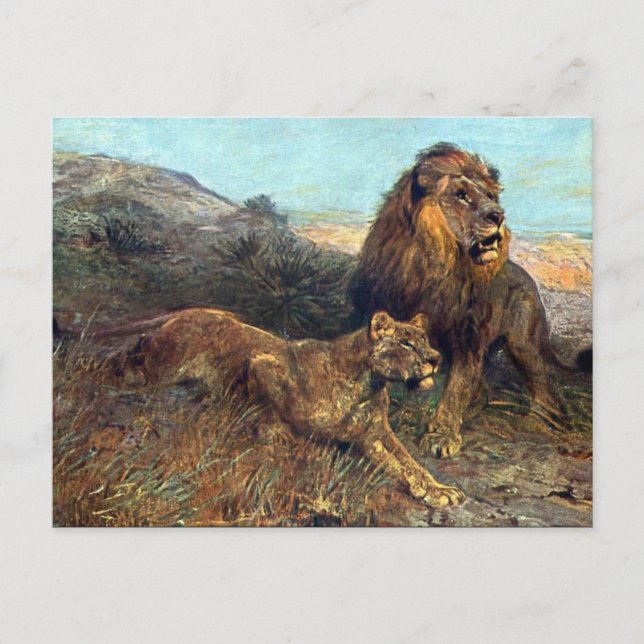 Ancienne carte postale - Lions (Devant)