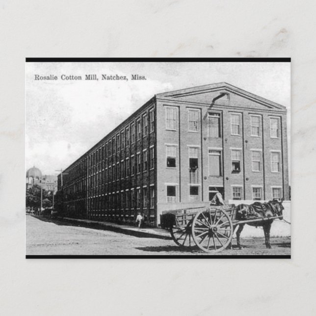 Ancienne carte postale - Natchez, Mississippi (Devant)