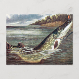 Ancienne carte postale - Pike