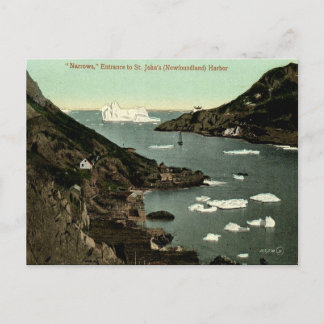 Ancienne carte postale - St John's (Terre-Neuve)