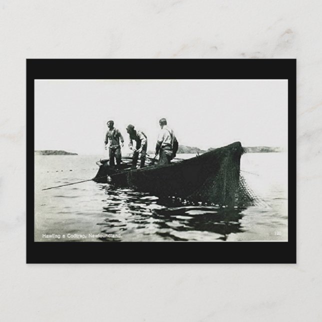 Ancienne carte postale - Terre-Neuve, pêche de la  (Devant)