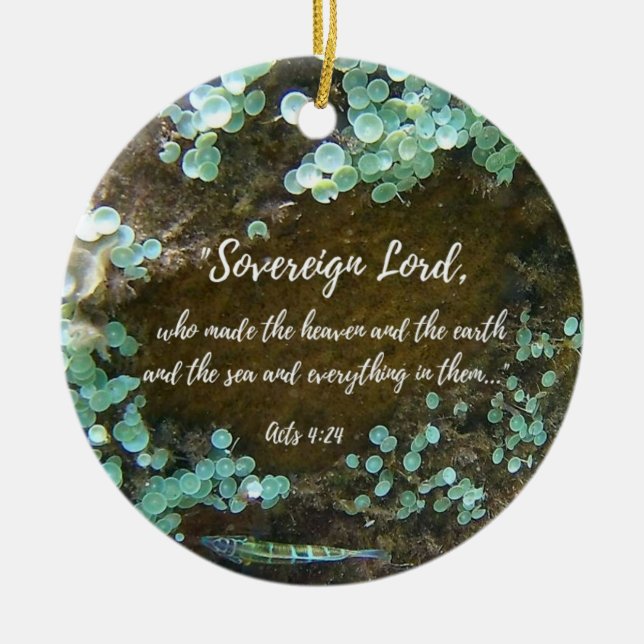 Ancienne Eaux Céramique Ornement (Devant)