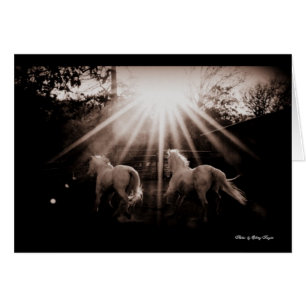 Andalou Run~ de ~Run