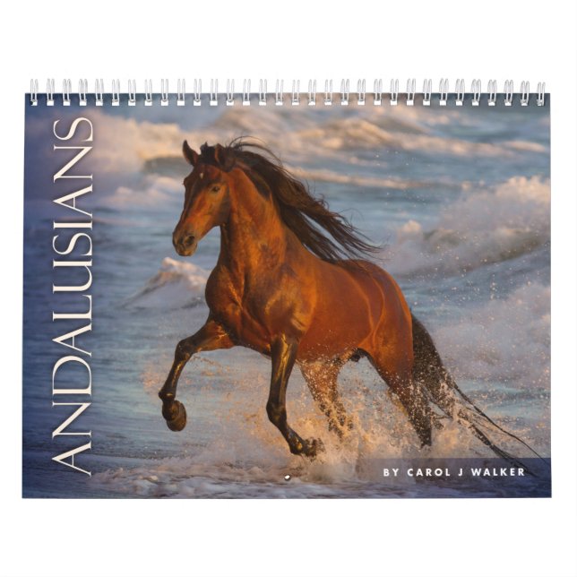 Andalousie par Carol J Walker Horse Calendrier (Protection)