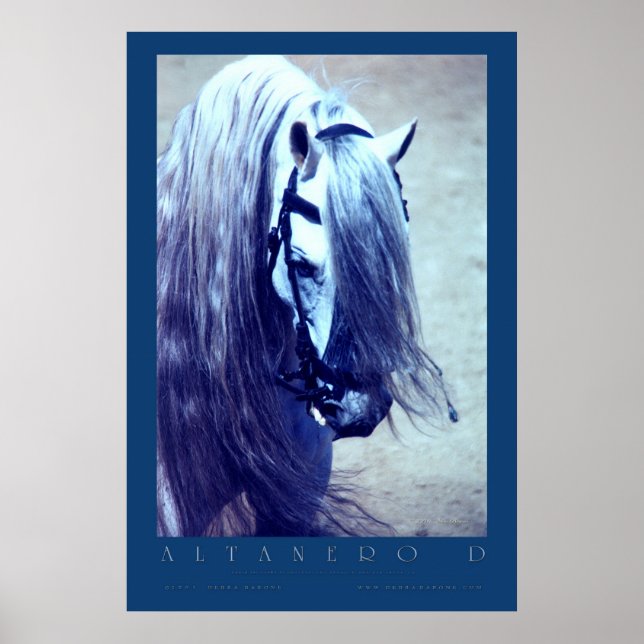 Andalusian Poster (Devant)