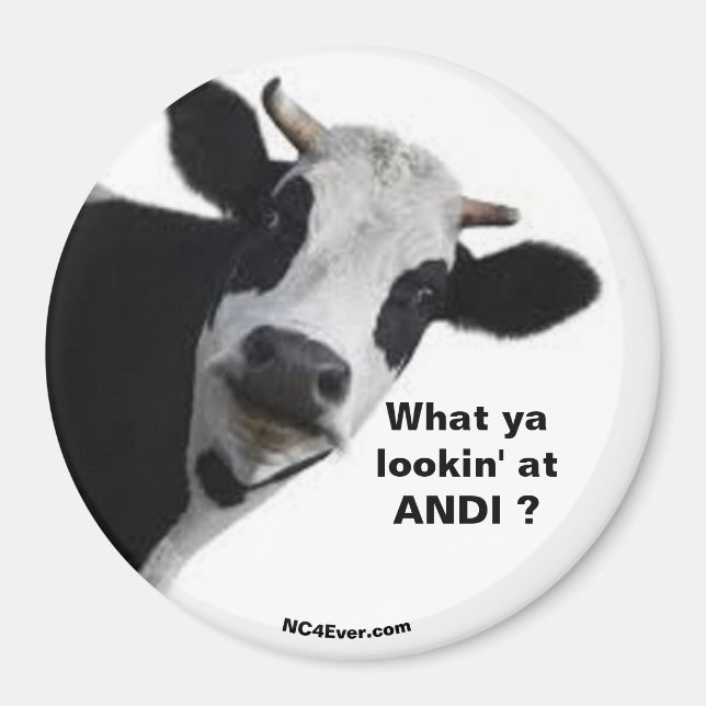 ANDI Qu'est-ce que vous regardez ? aimant amusant (Devant)