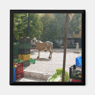 Âne espagnol au marché de Baza - aimant