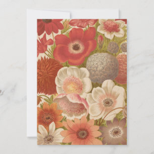 Anémone   George Nicholson