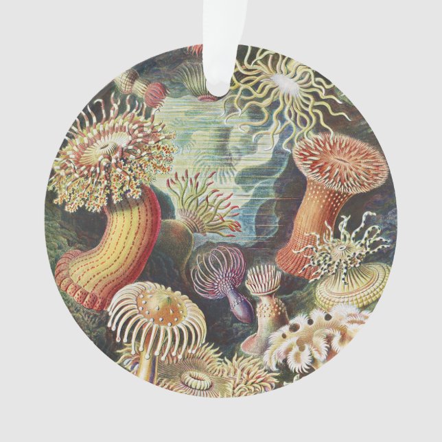 Anémones de mer de Haeckel Collage d'art de vie na (devant)