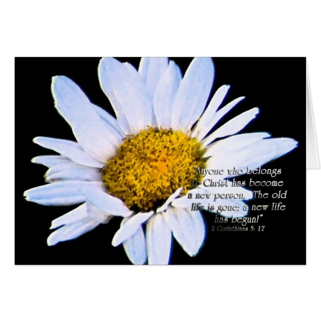 Anewlife a commencéZazzle (Devant Horizontal)