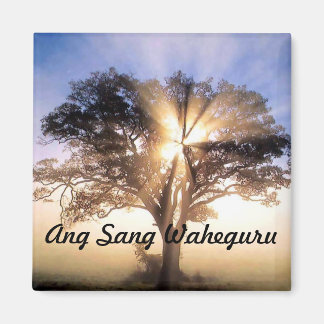 Ang Sang Waheguru aimant