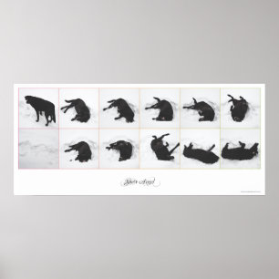 Ange de neige de chien {white} Poster 36x16"