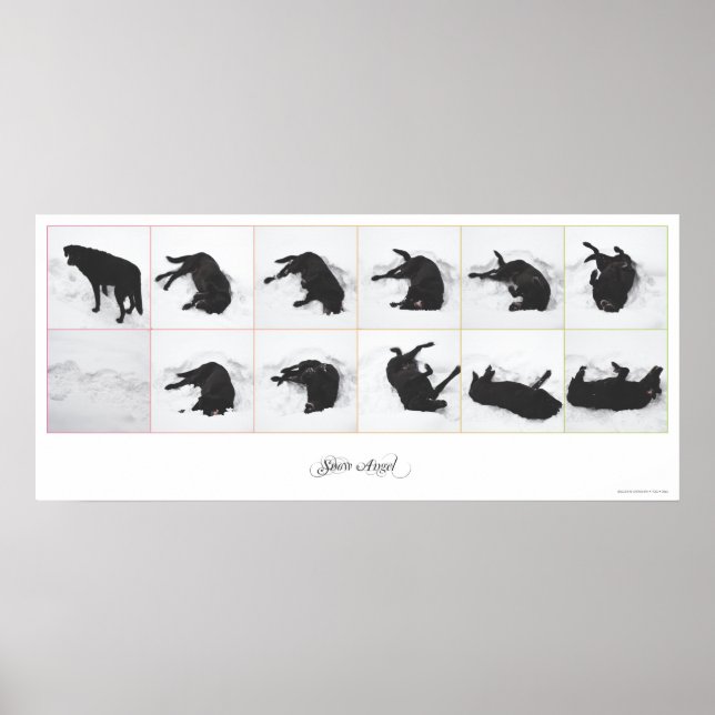 Ange de neige de chien {white} Poster 36x16" (Devant)