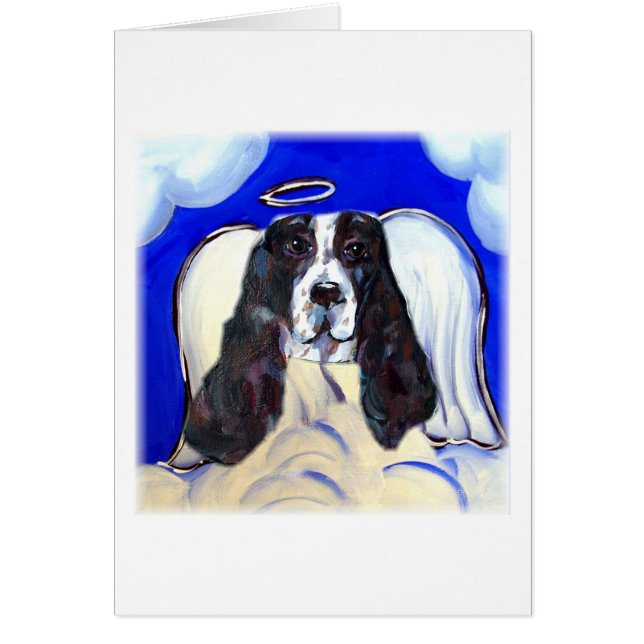 Ange English Springer Spaniel (Devant)