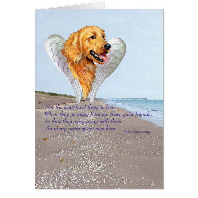 Ange Golden Retriever (Devant)