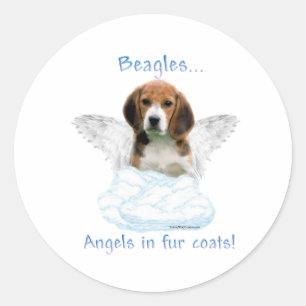 Angel beagle - Sticker