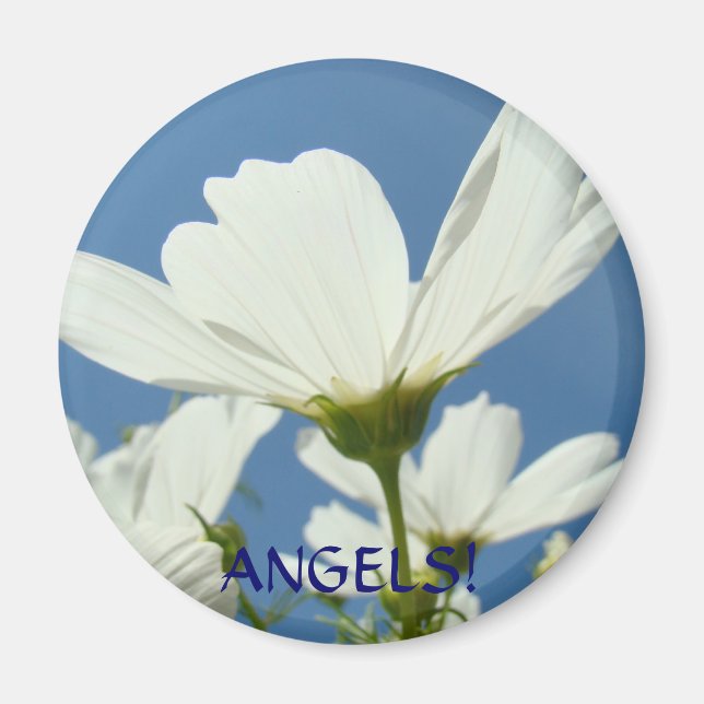 Anges ! Aimant aux fleurs de marguerite blanche av (Devant)