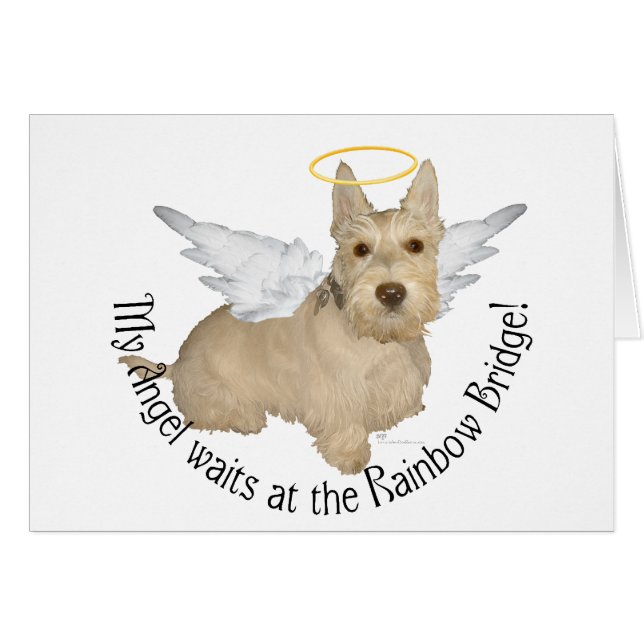 Anges Wheaten Scottish Terrier (Devant horizontal)