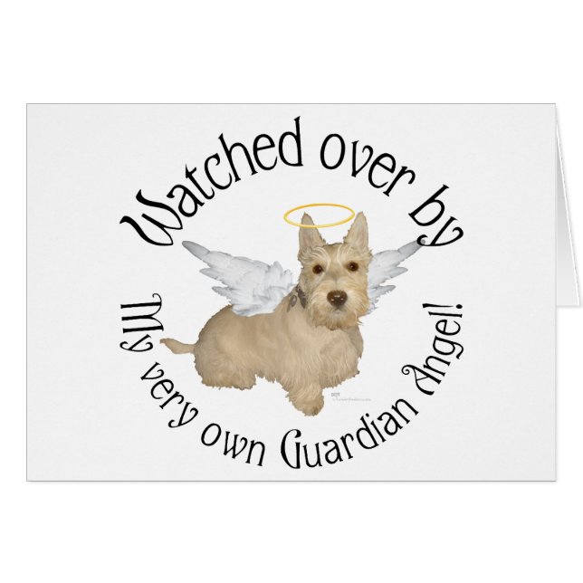 Anges Wheaten Scottish Terrier (Devant horizontal)