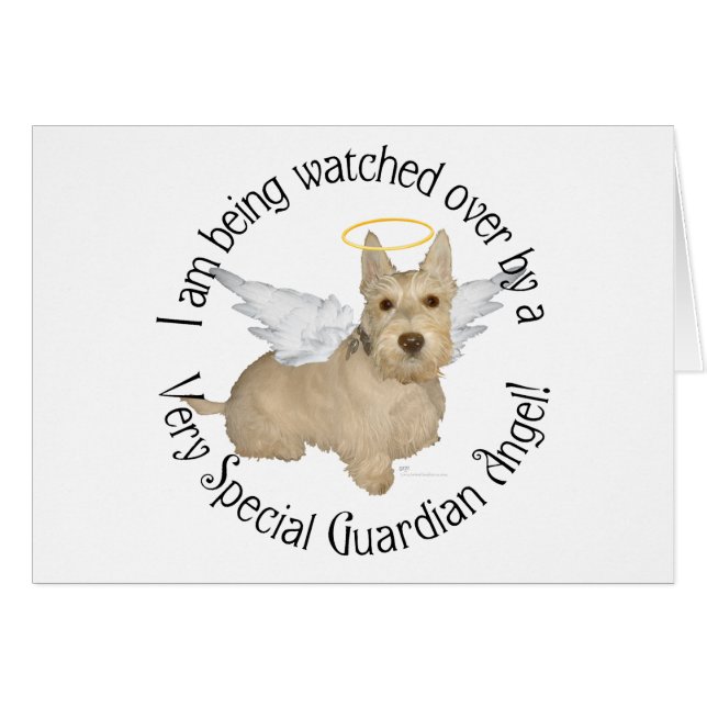 Anges Wheaten Scottish Terrier (Devant horizontal)