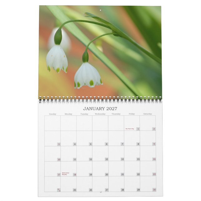 Angie's Garden 2008 Calendrier (Jan 2027)