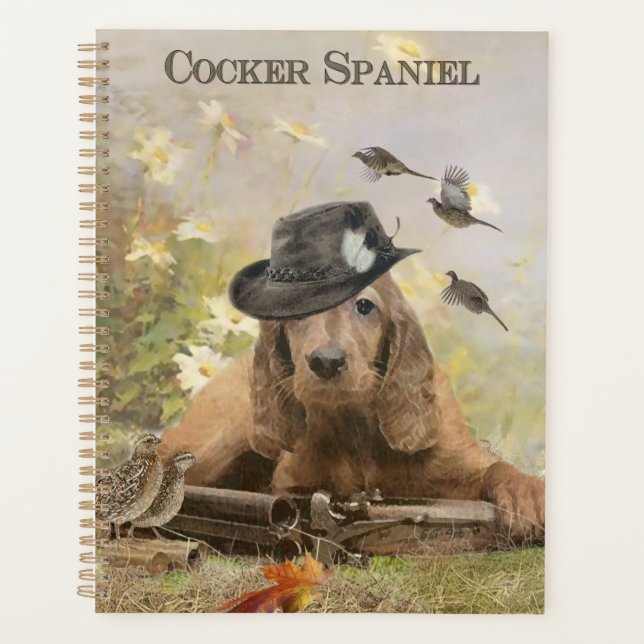 Anglais Cocker Spaniel (Devant)