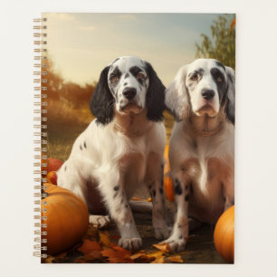 Anglais Setter Puppy Automne Citrouille de plaisir