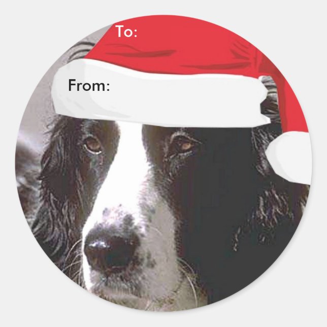 Anglais Springer Spaniel à/de Xmas stickers (Devant)
