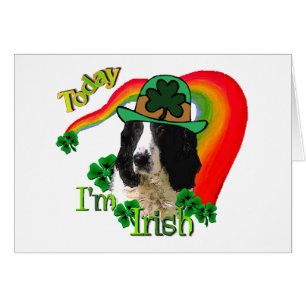 Anglais Springer Spaniel St Pattys