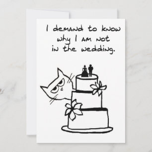 Angry Cat veut faire partie du Mariage