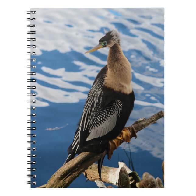 Anhinga Bird Photo Carnet Spiral (Devant)