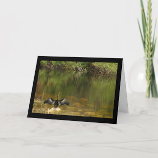 Anhinga dans la carte de voeux de marais