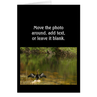 Anhinga dans les Everglades - Carte de visite
