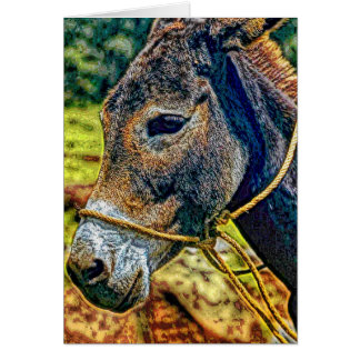 Animal19