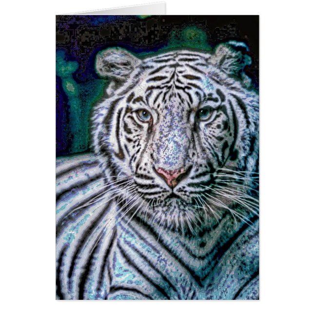 Animal33 (Devant)