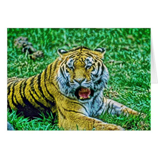 Animal34 (Devant horizontal)