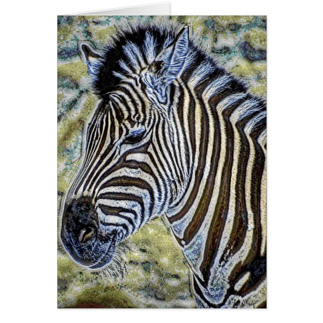 Animal36 (Devant)