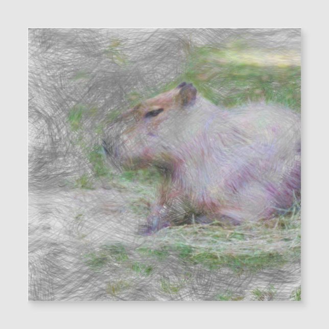 animal artistique capybara (Devant)