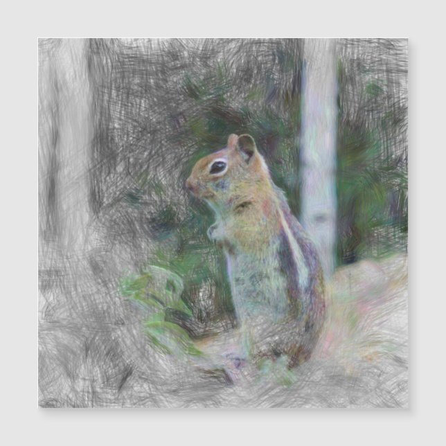 animal artistique chipmunk 1 (Devant)