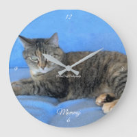 animal chat félin chaud amour bébé grande horloge