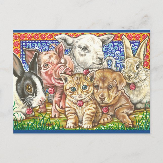 'Animal de compagnie ; Nourriture.' Carte postale (Devant)