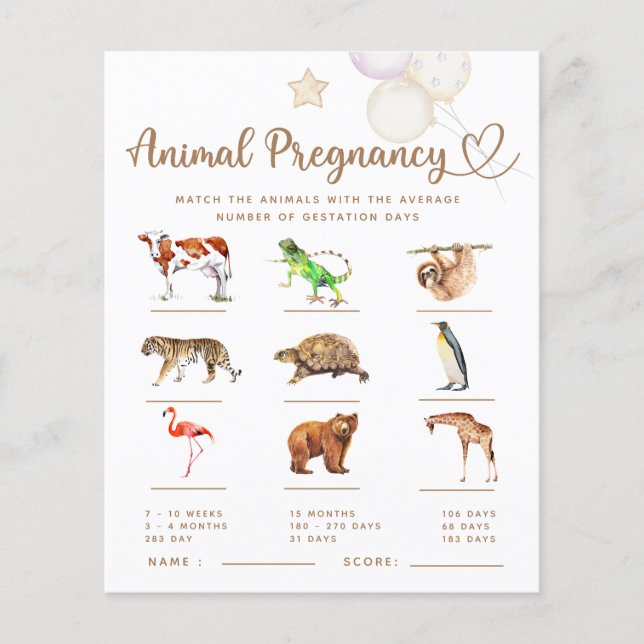 Animal Grossesse bébé éléphant Baby shower jeu (Devant)
